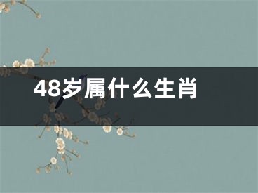 48岁属什么生肖