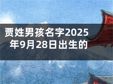 贾姓男孩名字2025年9月28日出生的