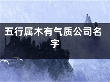 五行属木有气质公司名字