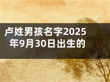 卢姓男孩名字2025年9月30日出生的