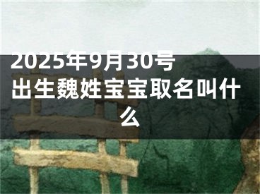 2025年9月30号出生魏姓宝宝取名叫什么