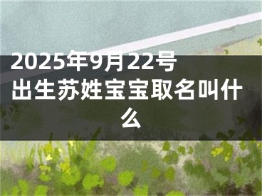 2025年9月22号出生苏姓宝宝取名叫什么