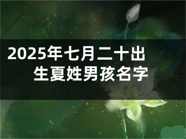 2025年七月二十出生夏姓男孩名字