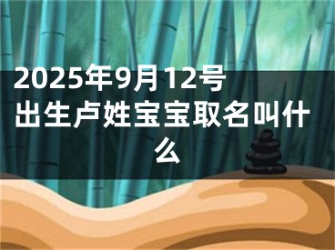 2025年9月12号出生卢姓宝宝取名叫什么