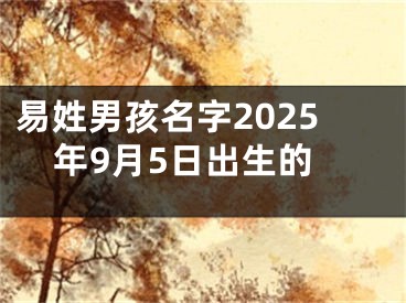 易姓男孩名字2025年9月5日出生的