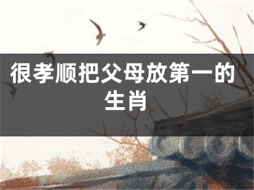 很孝顺把父母放第一的生肖