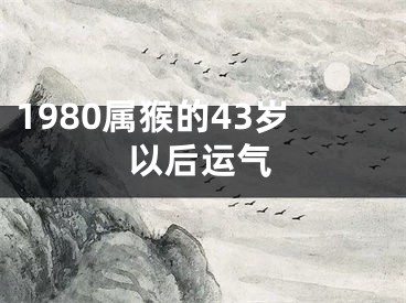 1980属猴的43岁以后运气