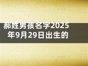 郝姓男孩名字2025年9月29日出生的