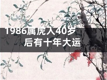 1986属虎人40岁后有十年大运