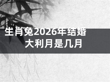 生肖兔2026年结婚大利月是几月