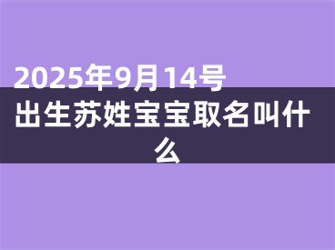 2025年9月14号出生苏姓宝宝取名叫什么