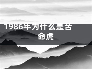 1986年为什么是苦命虎