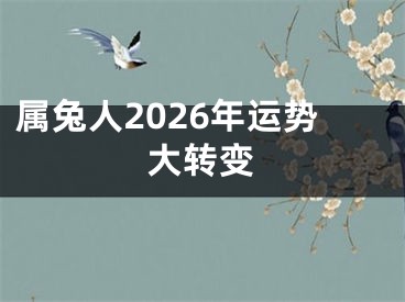 属兔人2026年运势大转变