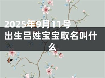 2025年9月11号出生吕姓宝宝取名叫什么