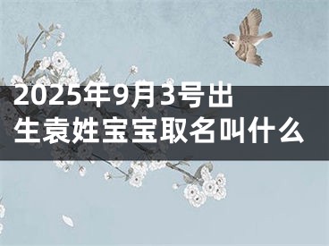 2025年9月3号出生袁姓宝宝取名叫什么