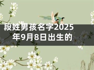 段姓男孩名字2025年9月8日出生的