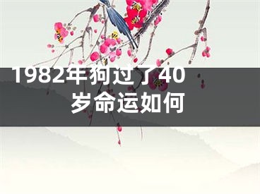 1982年狗过了40岁命运如何