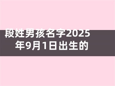 段姓男孩名字2025年9月1日出生的