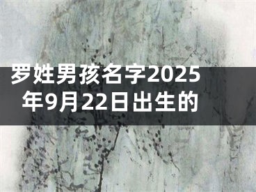 罗姓男孩名字2025年9月22日出生的