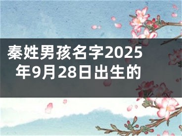 秦姓男孩名字2025年9月28日出生的