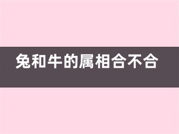 兔和牛的属相合不合