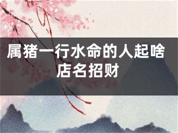 属猪一行水命的人起啥店名招财