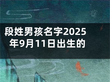 段姓男孩名字2025年9月11日出生的