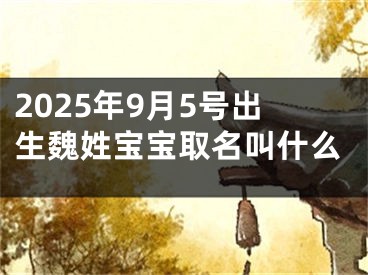 2025年9月5号出生魏姓宝宝取名叫什么