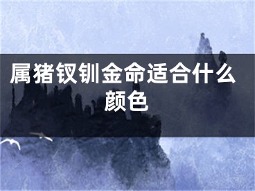 属猪钗钏金命适合什么颜色
