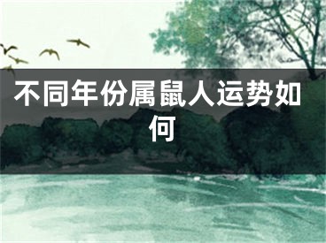 不同年份属鼠人运势如何