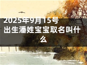 2025年9月15号出生潘姓宝宝取名叫什么