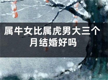 属牛女比属虎男大三个月结婚好吗