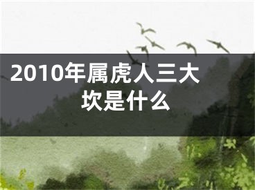2010年属虎人三大坎是什么