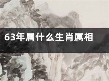 63年属什么生肖属相