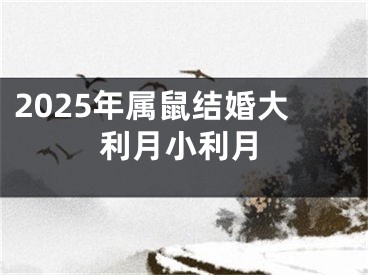 2025年属鼠结婚大利月小利月