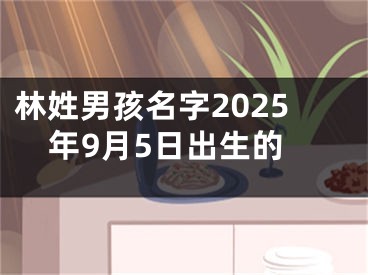 林姓男孩名字2025年9月5日出生的