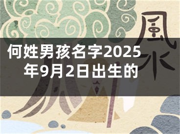 何姓男孩名字2025年9月2日出生的