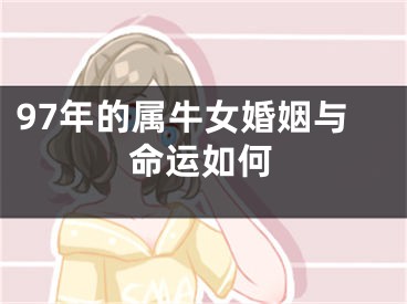 97年的属牛女婚姻与命运如何