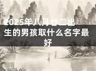 2025年八月廿二出生的男孩取什么名字最好