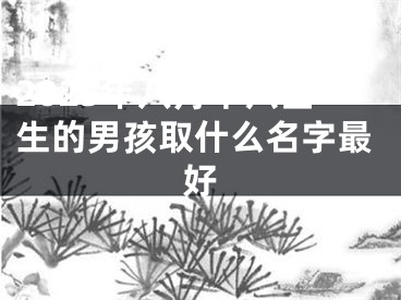 2025年八月十六出生的男孩取什么名字最好