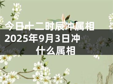 今日十二时辰冲属相 2025年9月3日冲什么属相