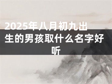 2025年八月初九出生的男孩取什么名字好听