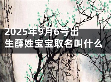 2025年9月6号出生薛姓宝宝取名叫什么
