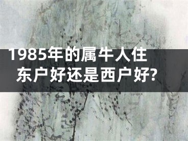 1985年的属牛人住东户好还是西户好?