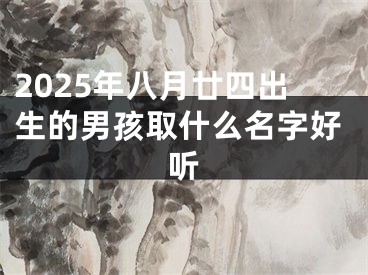 2025年八月廿四出生的男孩取什么名字好听