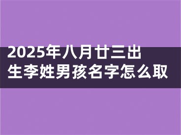 2025年八月廿三出生李姓男孩名字怎么取