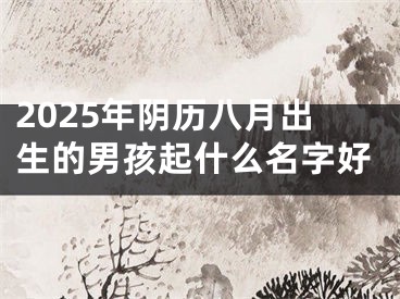 2025年阴历八月出生的男孩起什么名字好