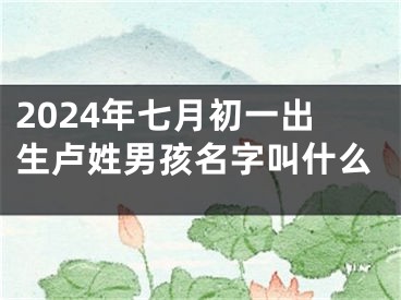 2024年七月初一出生卢姓男孩名字叫什么