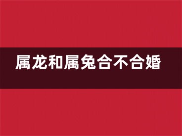 属龙和属兔合不合婚