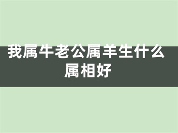 我属牛老公属羊生什么属相好